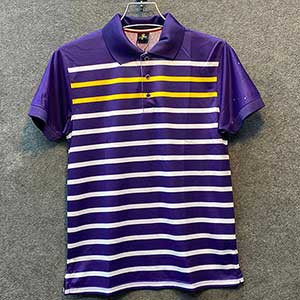 Stylish Polo Shirt for Men