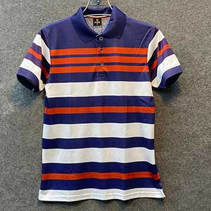 Stylish Polo Shirt for Men